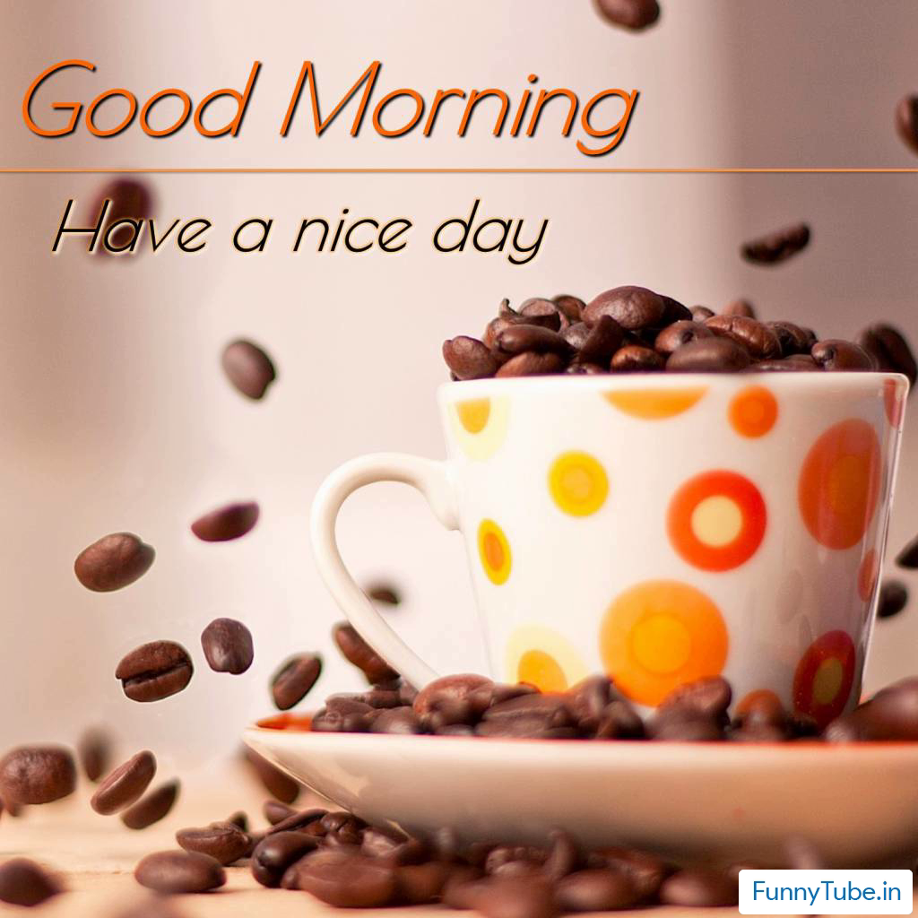 10 Good Morning Status With Cup Of Coffee
