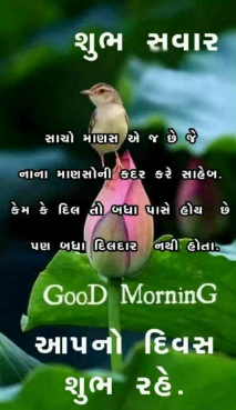 Good Morning Full Screen Status In Gujarati