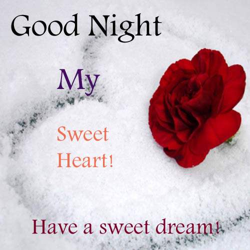 Lovely Good Night Status Images To Share With Your Love