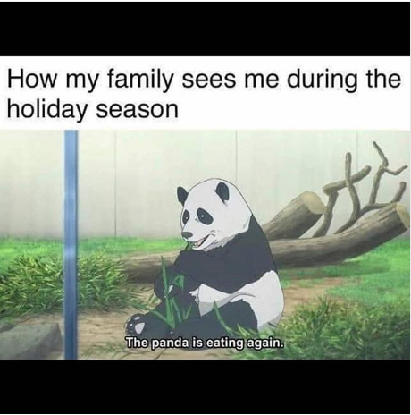 Family sees during holiday