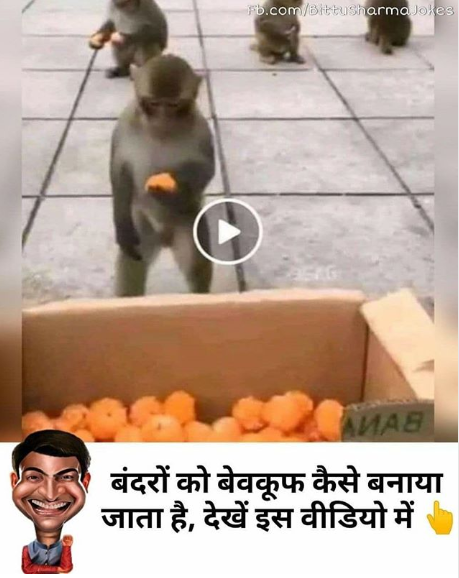 How to fool a monkey