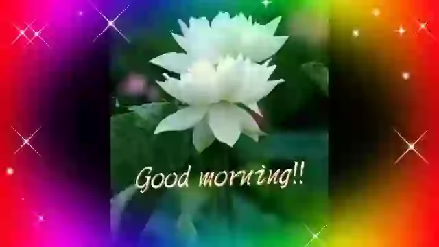 Good Morning Glitter Video Good Morning Quotes