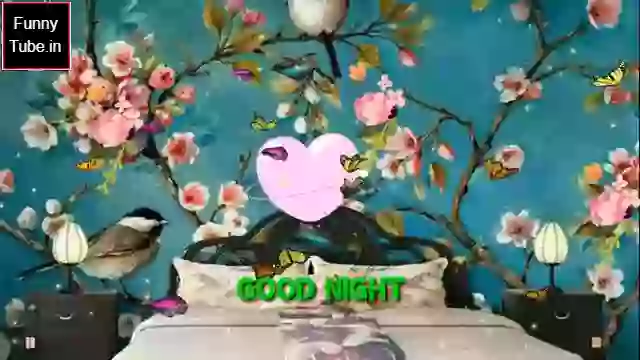 Awesome Good Night Status Video Download