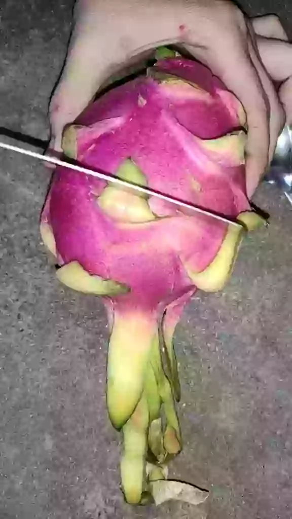 Have You Seen How Dragon Fruit Look Like