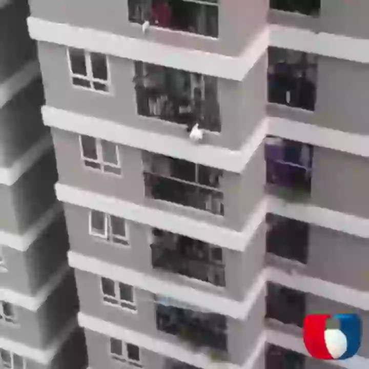 Delivery driver catches kid who fell from 12th floor