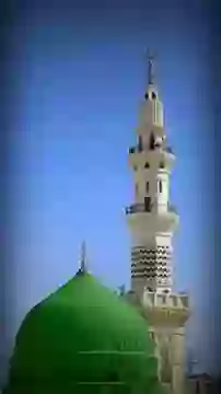 Eid Milad Un Nabi Status Video Download