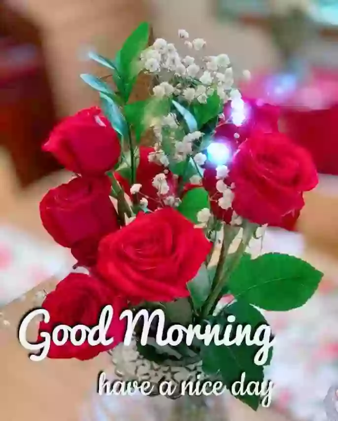 Good Morning Flower Wish Status Video