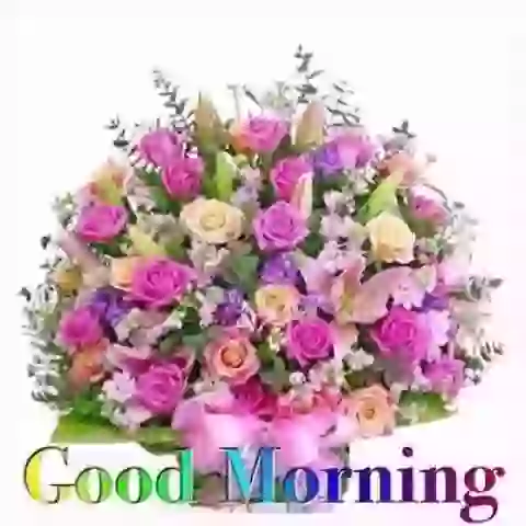 Good Morning Wish Greetings WhatsApp Video