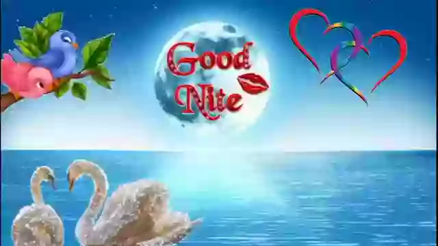 Romantic Good Night Wish Video Hindi Song